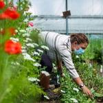 Sustainable Agriculture Project Donated Over 120 Pounds of Produce